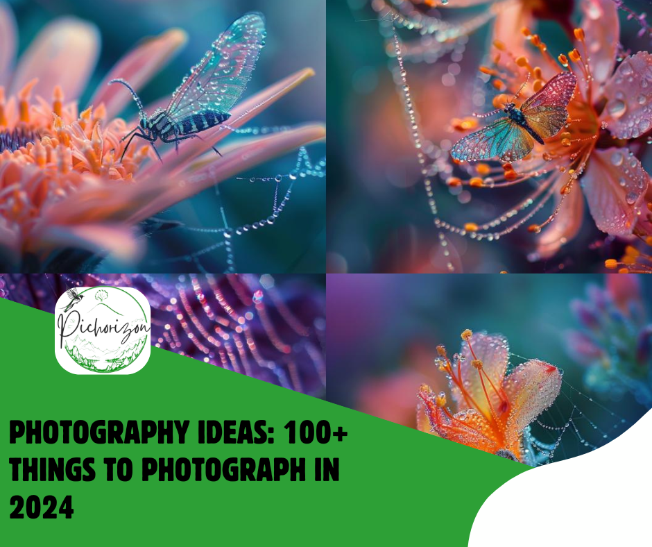 Photography Ideas: 100+ Things to Photograph in 2024