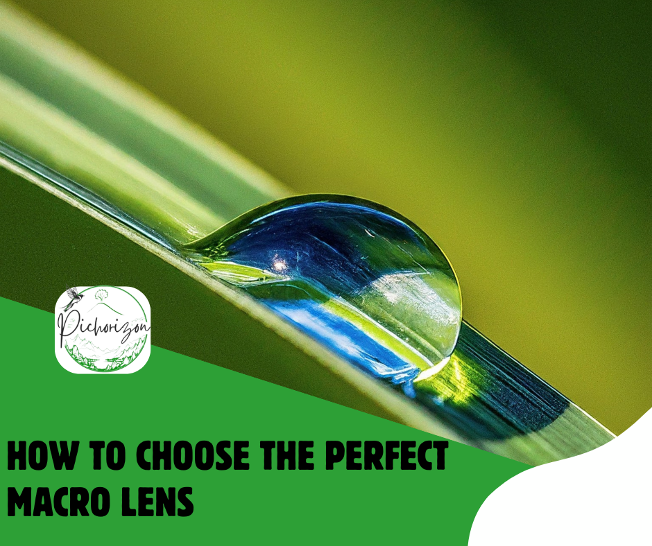 How to Choose the Perfect Macro Lens